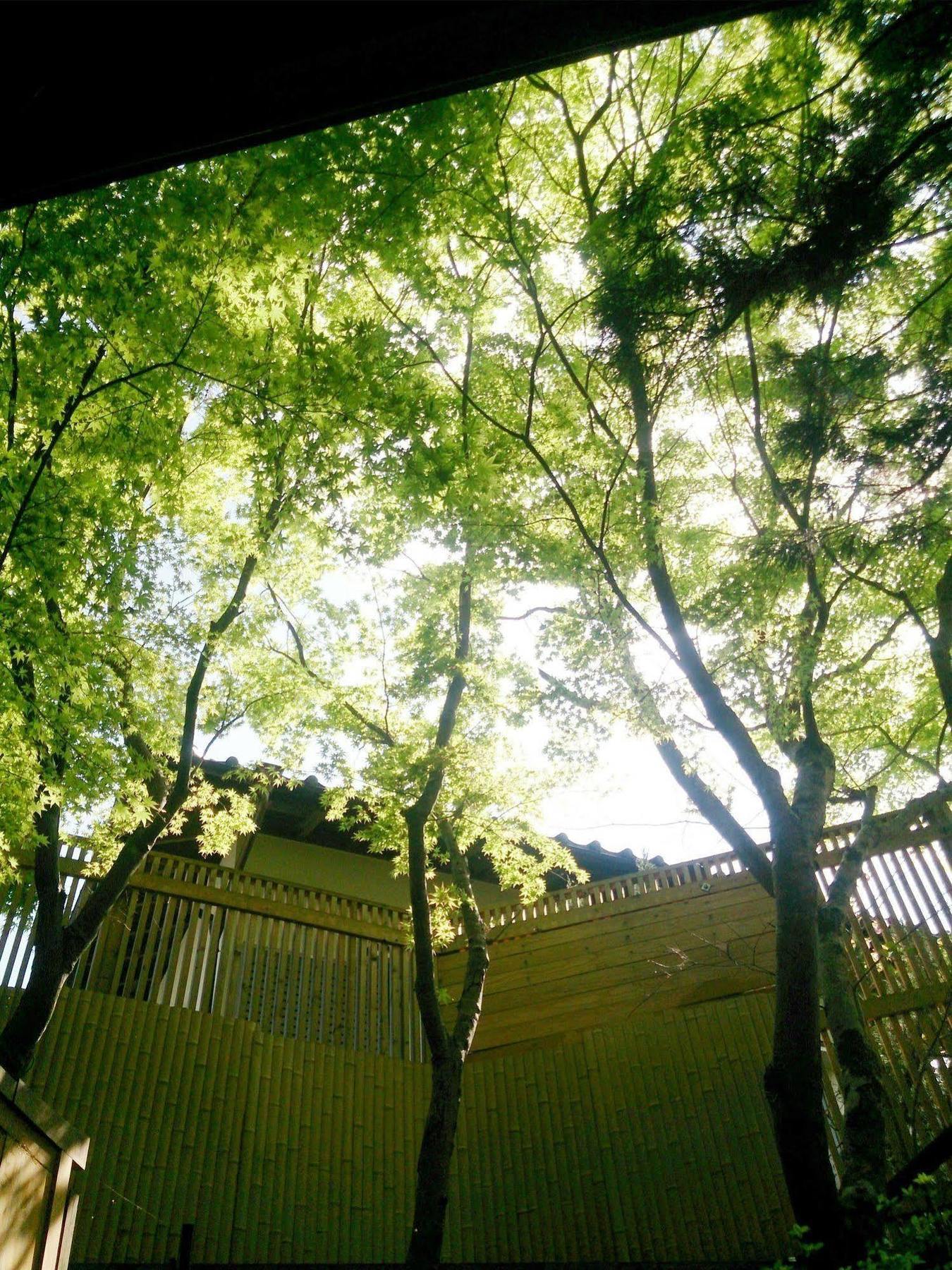 La Maison De David Yufu Extérieur photo